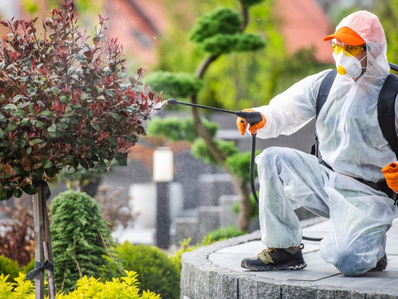 Bakırköy Haşere İlaçlama